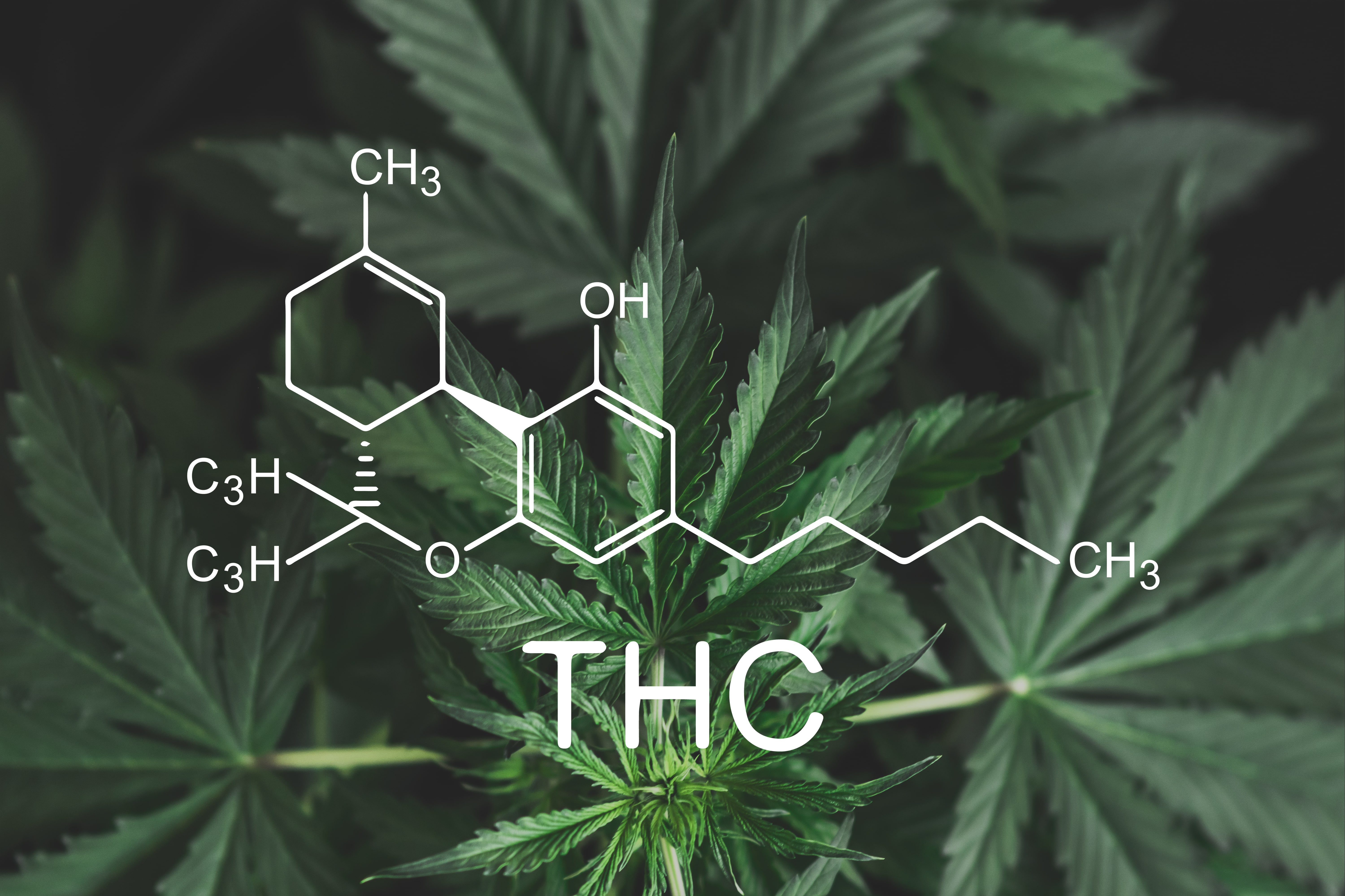 Significado del THC