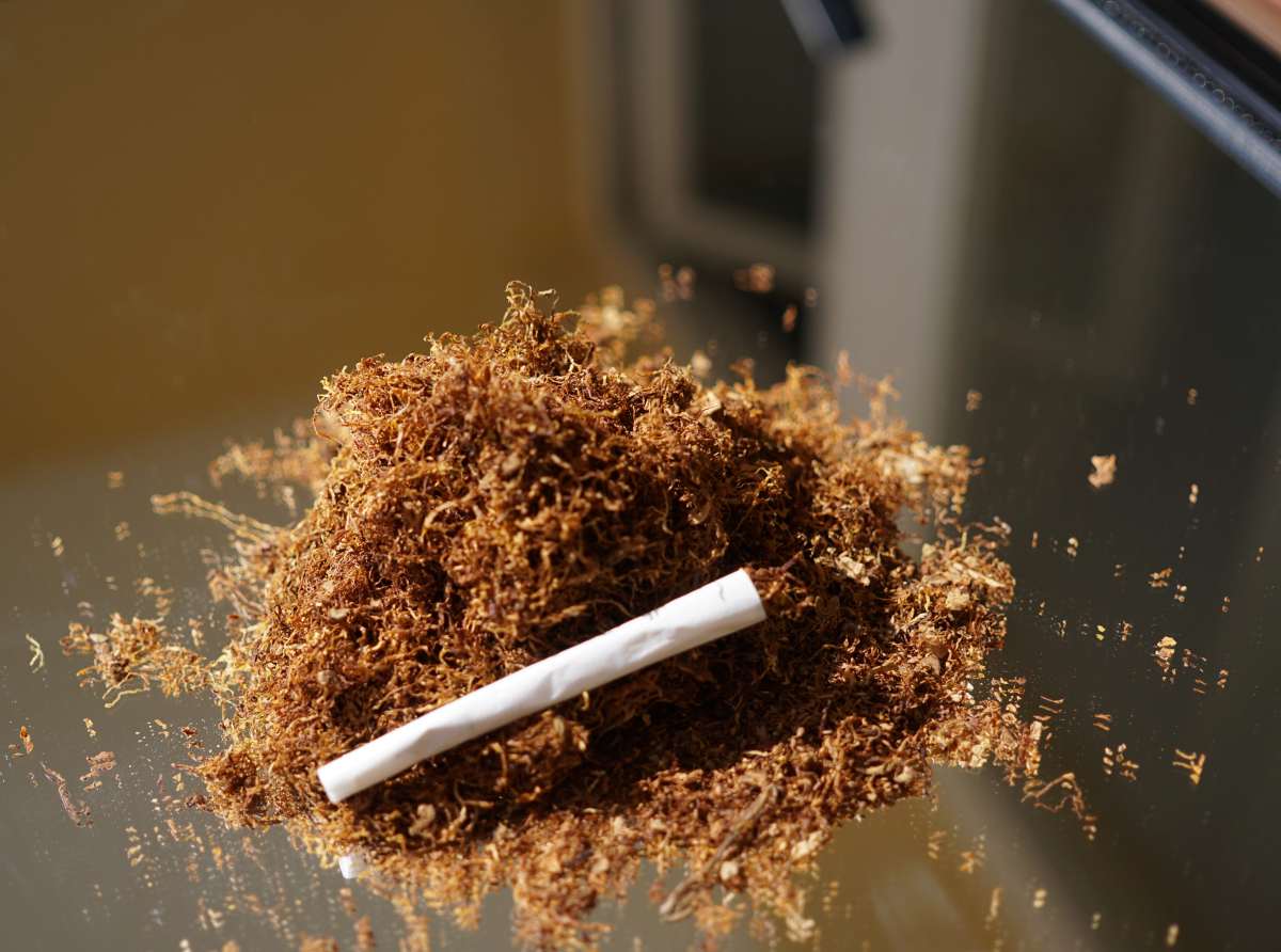 mejor tabaco de liar
