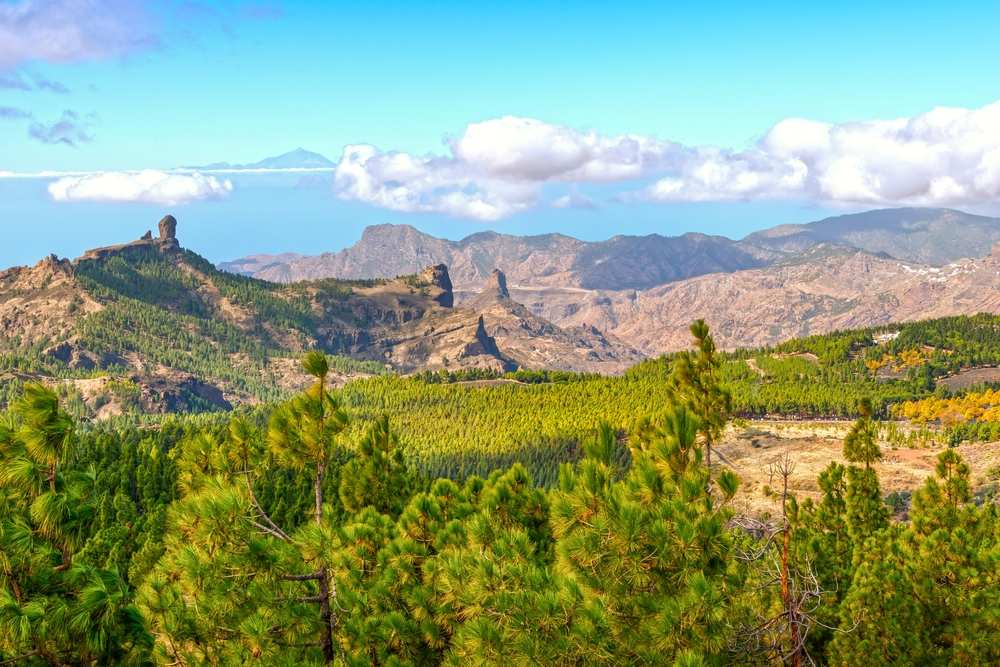 Morro de Santiago gran canaria acampada