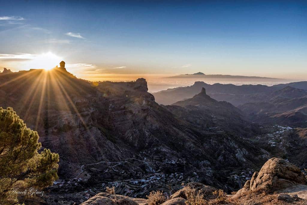 corral de los juncos gran canaria 
