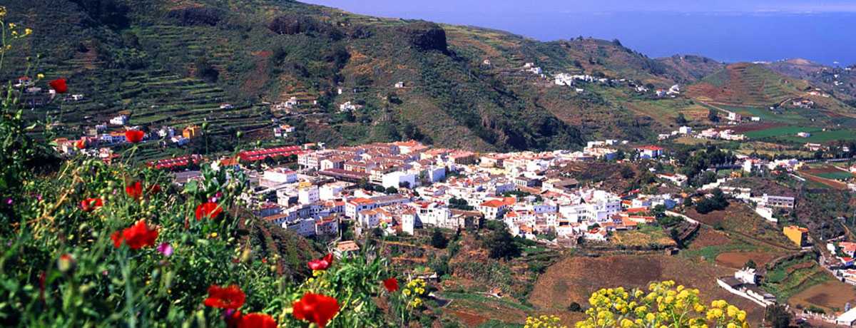 vega de san mateo gran canaria acampada
