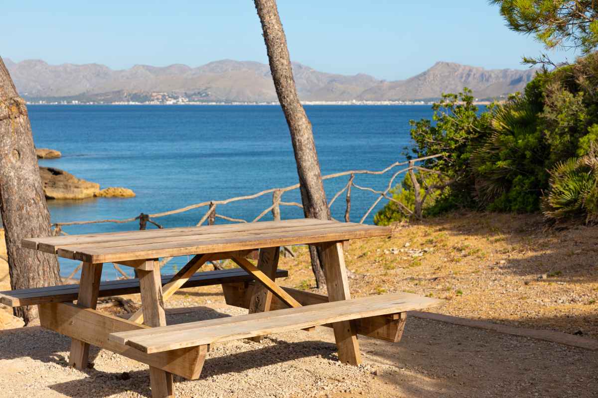 camping alcudia playa