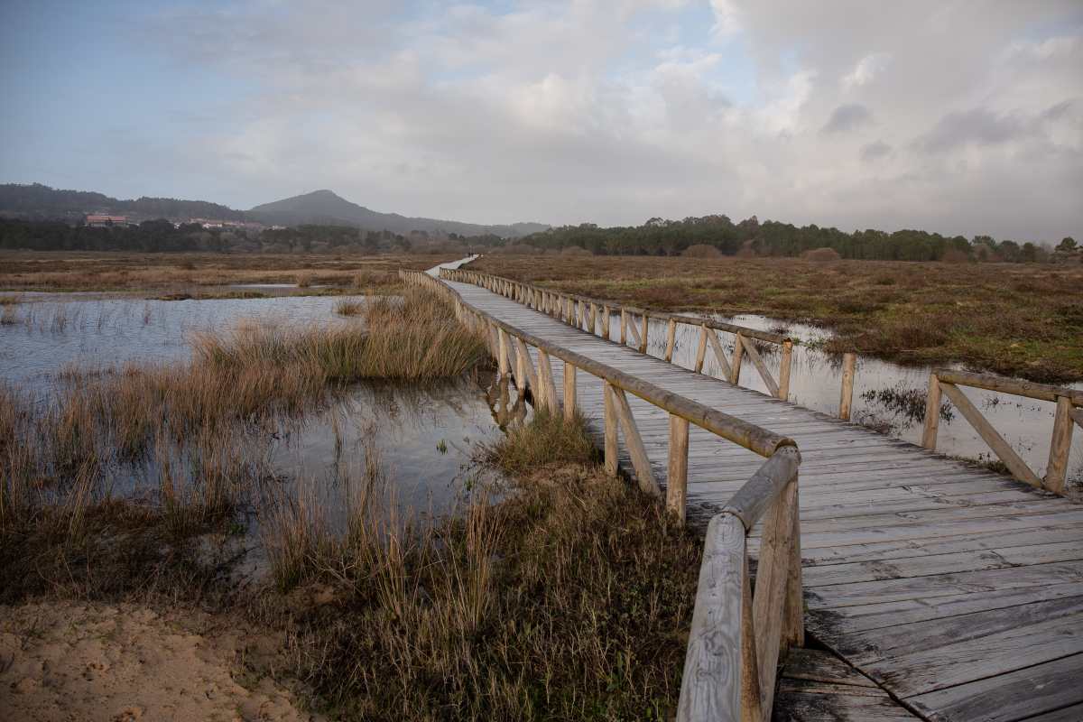el palmar valencia 