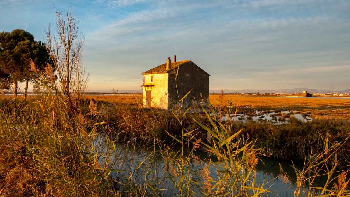 parque de la albufera de valencia