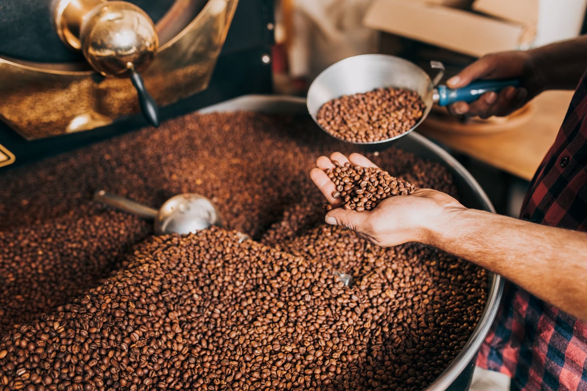 Qué es el café de especialidad